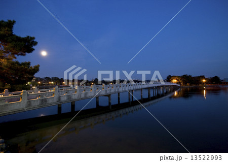 大濠公園の夜景 13522993