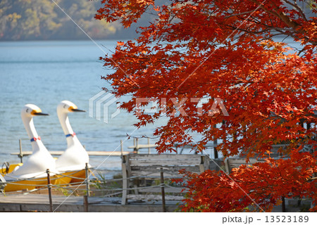 倶多楽湖 倶多楽湖 13523189