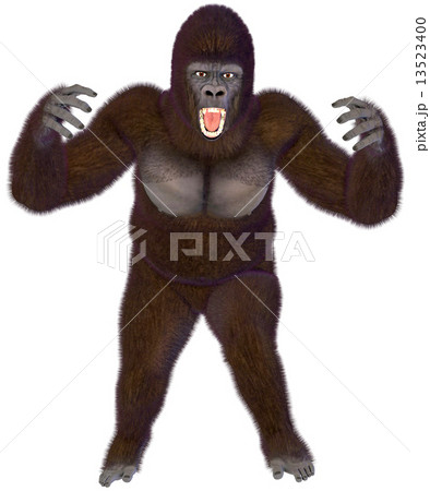 ゴリラ☆Gorilla 13523400