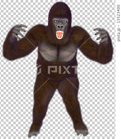 ゴリラ☆Gorilla 13523400