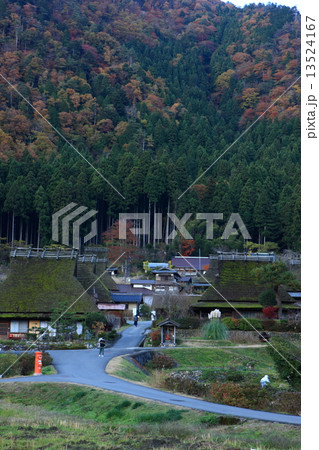 美山の紅葉 13524167