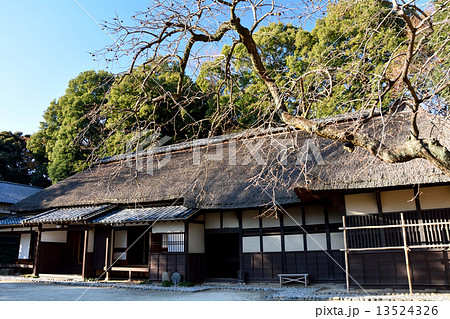 冬の茅葺屋根 冬の茅葺屋根 13524326