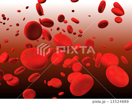 Erythrocytes Erythrocytes 13524889