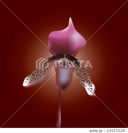 orchid flower eps10 13525528