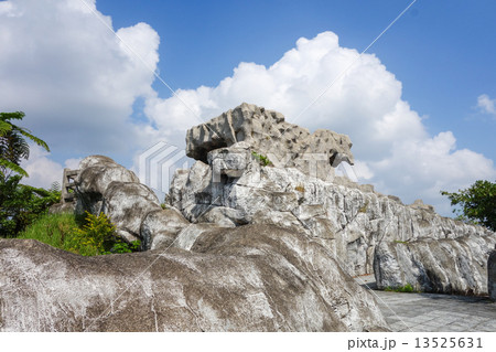 沖縄県　石垣島　南の島の展望台 13525631