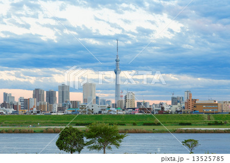 青空が広がる川の手住宅街と東京スカイツリー 13525785