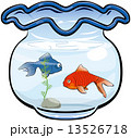 金魚鉢 13526718