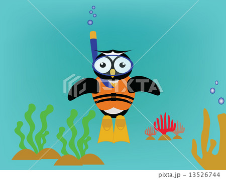 snorkel owl 13526744