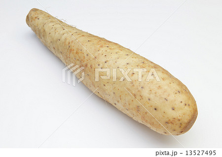 長いも 長いも 13527495