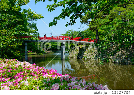 愛知　岡崎公園 13527734