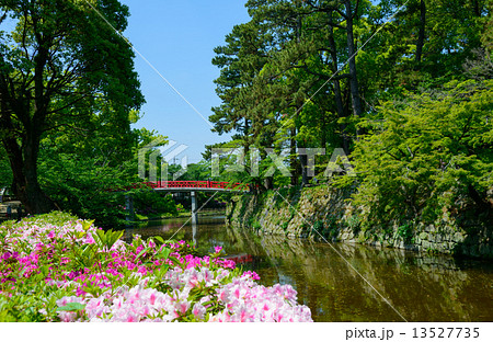 愛知　岡崎公園 13527735