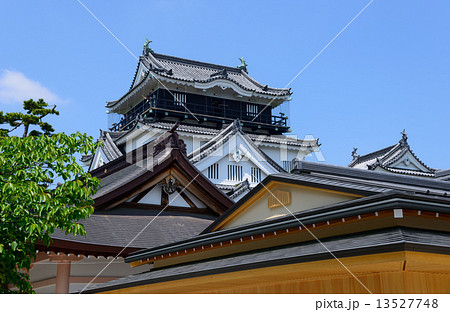 愛知　岡崎城天守閣 13527748