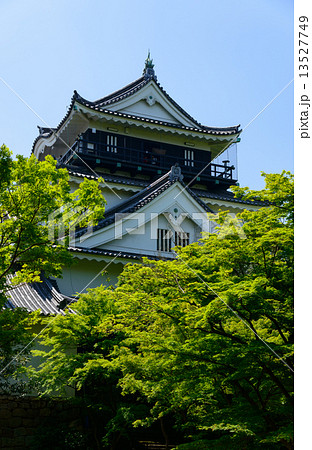 愛知　岡崎城天守閣 13527749