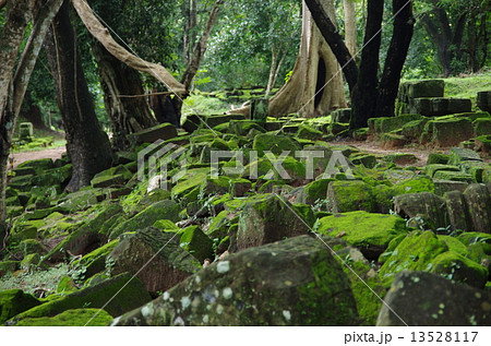 カンボジア シェムリアップ アンコールワット ベンメリア カンボジア シェムリアップ アンコールワット ベンメリア 13528117