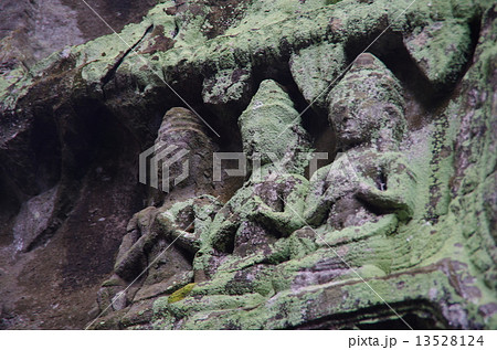 カンボジア シェムリアップ アンコールワット ベンメリア カンボジア シェムリアップ アンコールワット ベンメリア 13528124