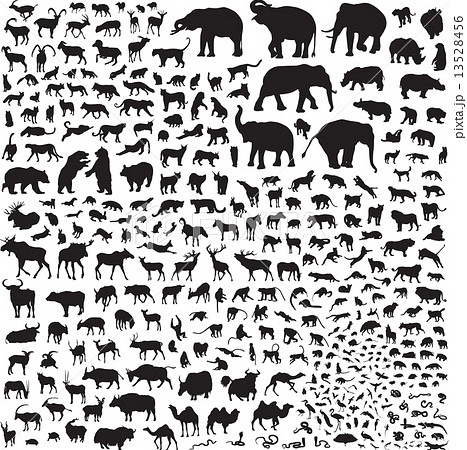silhouettes of wildlife Asia silhouettes of wildlife Asia 13528456