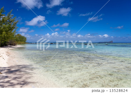 Quiet bay of the island Gabriel. Mauritius... 13528624