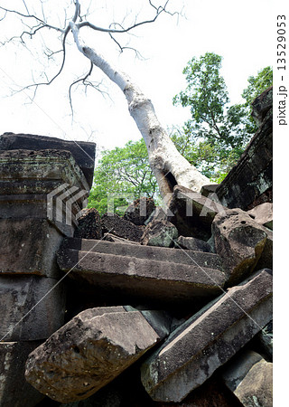 ASIA CAMBODIA ANGKOR TA PROHM 13529053