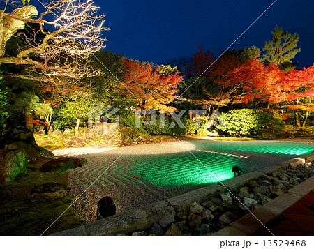 高台寺圓徳院の紅葉ライトアップ 13529468