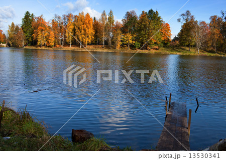 Russia. Saint-Petersburg. Gatchina. Autumn in palace park 13530341
