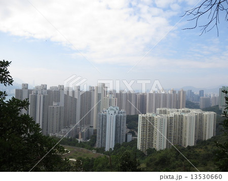 Hong Kong building forest  13530660