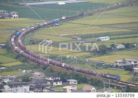 日本の大動脈~山陽本線を行く2本の貨物列車 日本の大動脈~山陽本線を行く2本の貨物列車 13530709