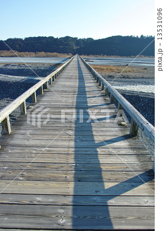 静岡 蓬莱橋 静岡 蓬莱橋 13531096