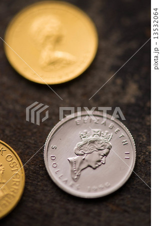 金貨 13532064
