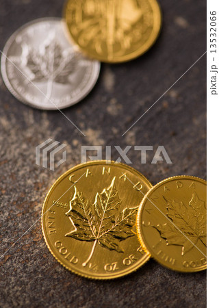 金貨 13532066