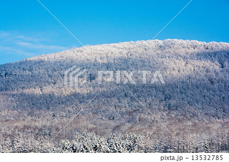 太陽に輝く山頂 13532785