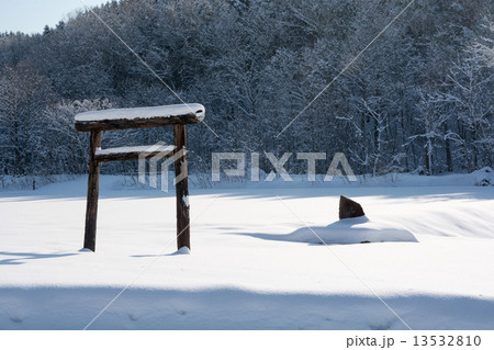 雪原の鳥居 13532810