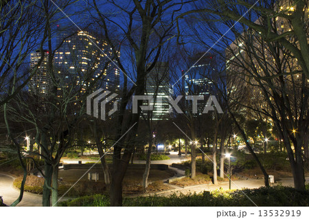 新宿中央公園の夜景の写真素材