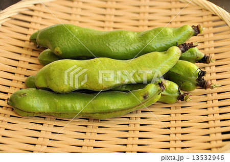 そらまめ 13532946