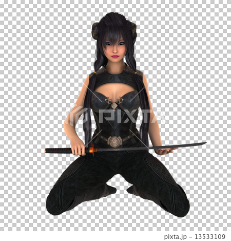 Female swordsman 13533109