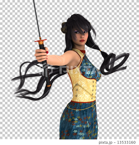 Female swordsman Female swordsman 13533160