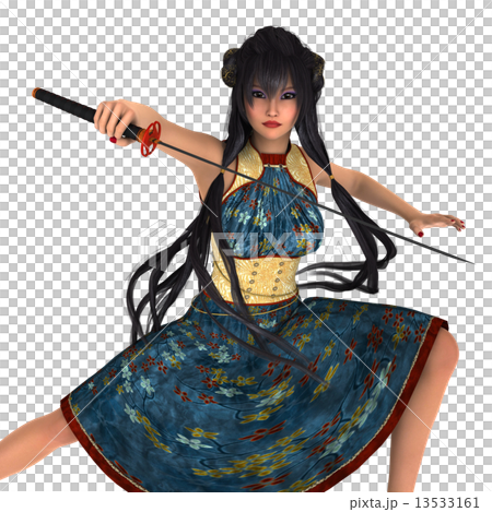 Female swordsman 13533161