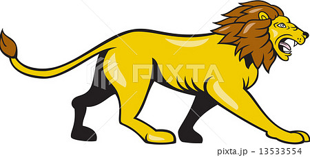 Angry Lion Walking Roar Cartoonのイラスト素材
