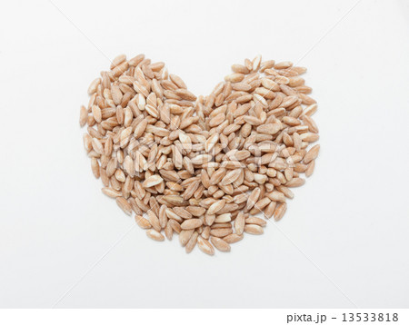 スペルト小麦 13533818