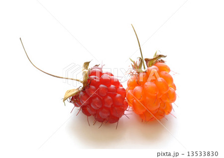 Ripe red and orange wild raspberries 13533830