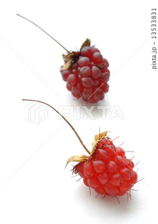 Ripe red and orange wild raspberries 13533831
