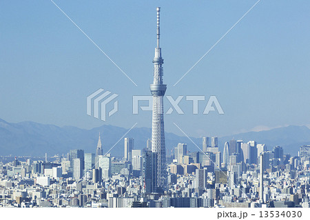 東京スカイツリーと新宿高層ビル群 13534030