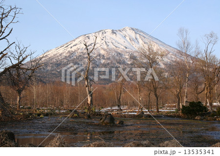 羊蹄山 13535341