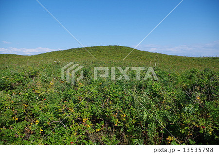 傾斜のある草原 13535798