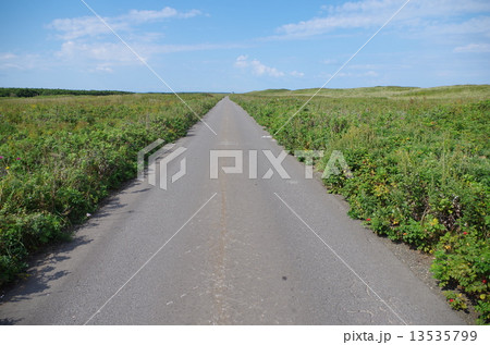 北海道の竜宮街道 13535799