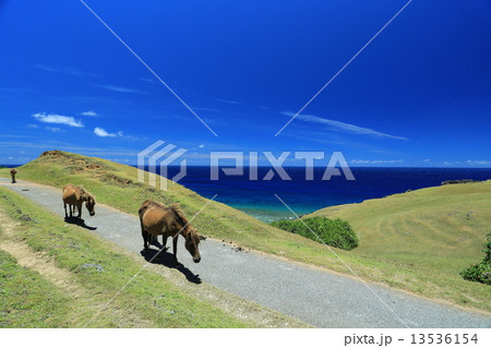 与那国島 13536154