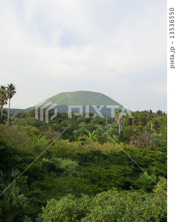 福江島鬼岳 13536550