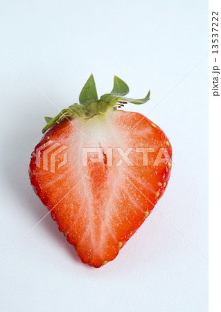 イチゴ あまおう イチゴ あまおう 13537222