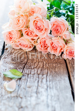 Bouquet of Pink Roses with Copy Space on image 13538547