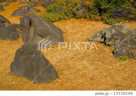 日本庭園 13538549