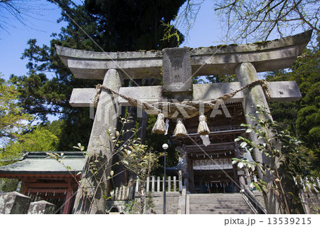 宮原両神社鳥居 13539215